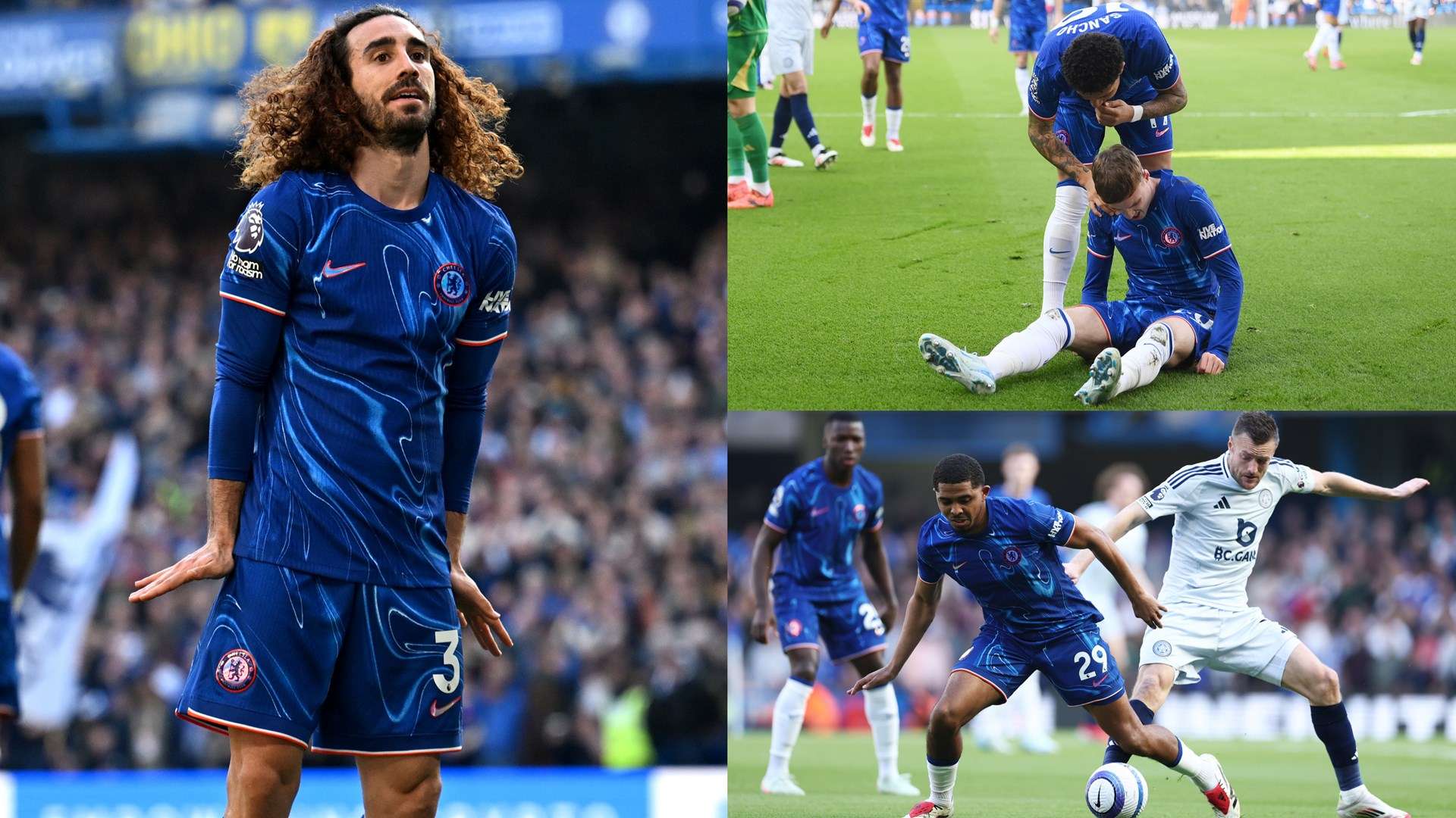 选手在国内 选手在国内